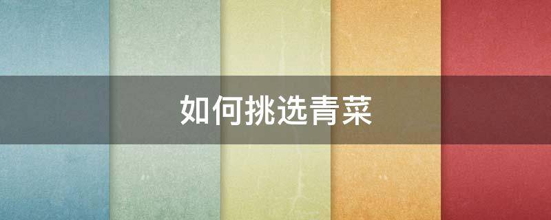 如何挑选青菜 如何挑选青菜好吃