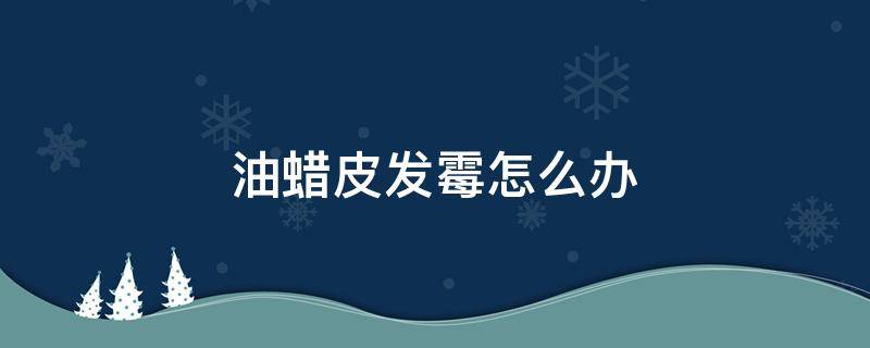 油蜡皮发霉怎么办 油蜡皮发霉怎么处理