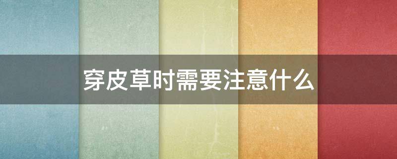 穿皮草时需要注意什么 穿皮草时需要注意什么细节