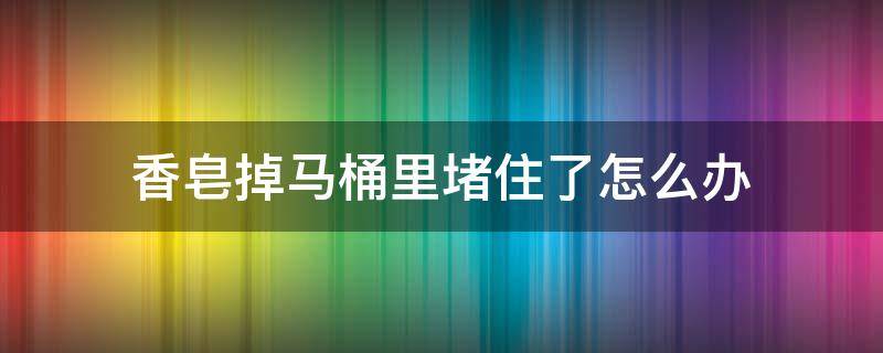香皂掉马桶里堵住了怎么办 把香皂掉马桶堵了怎么办