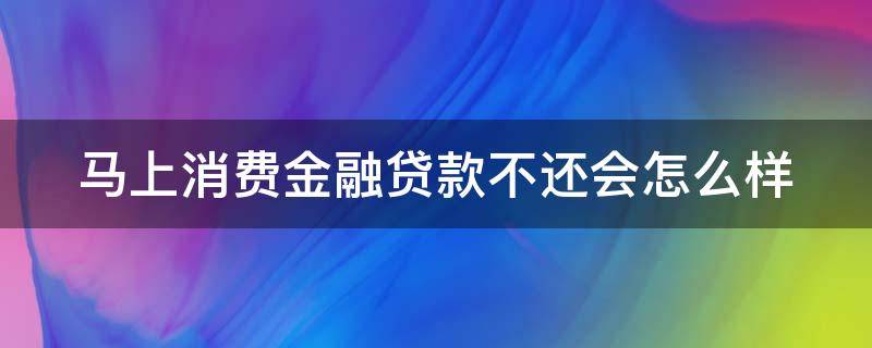 马上消费金融贷款不还会怎么样（马上消费金融贷款不还会坐牢吗）