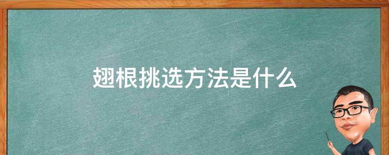翅根挑选方法是什么（翅根挑选方法是什么样的）