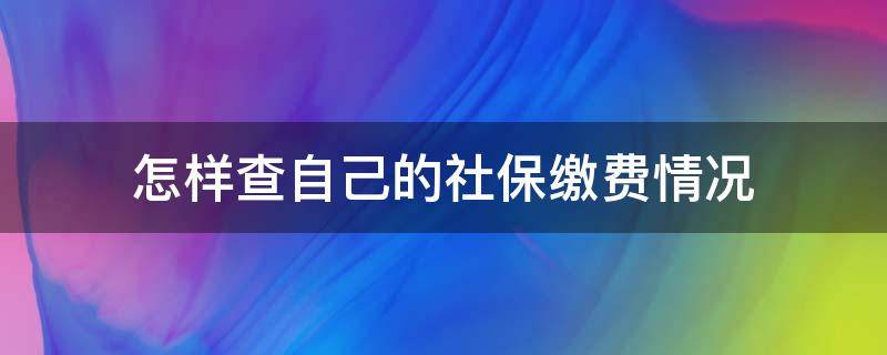 怎样查自己的社保缴费情况 怎样查自己的社保缴费情况表