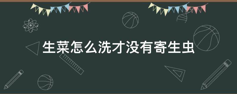 生菜怎么洗才没有寄生虫 怎样洗生菜才可以去除虫卵