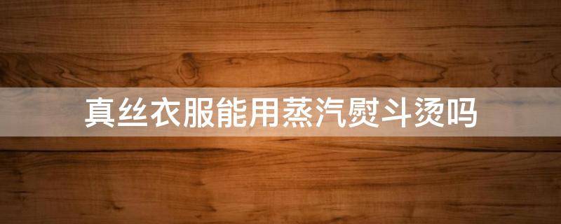 真丝衣服能用蒸汽熨斗烫吗（真丝衣服能用蒸汽熨斗烫吗视频）