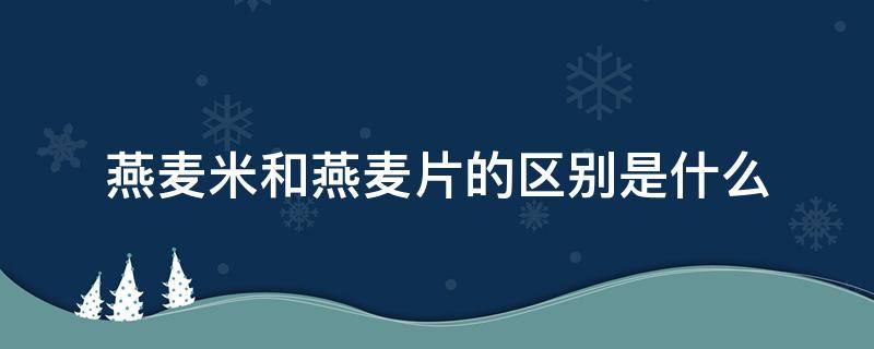 燕麦米和燕麦片的区别是什么（燕麦米和燕麦片的区别是什么意思）