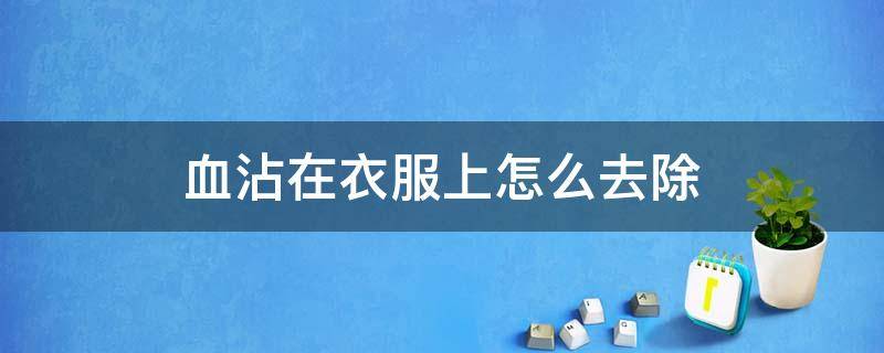 血沾在衣服上怎么去除（血沾在衣服上怎么去除）