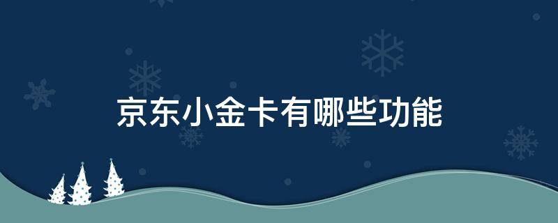 京东小金卡有哪些功能（京东小金卡干嘛的）