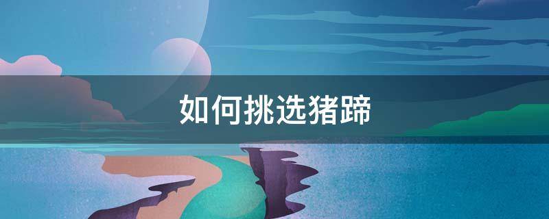 如何挑选猪蹄（猪蹄价格今日价）