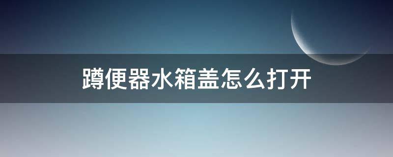蹲便器水箱盖怎么打开 蹲便器水箱盖怎么打开图解