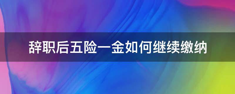 辞职后五险一金如何继续缴纳（辞职后五险怎么办?）