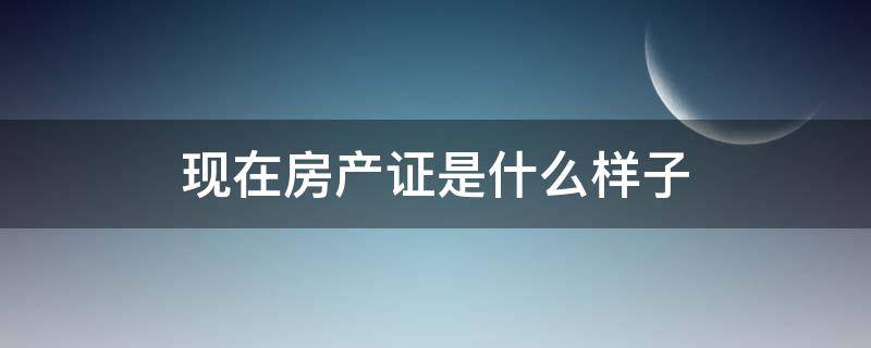 现在房产证是什么样子 房产证是什么样子的图片大全