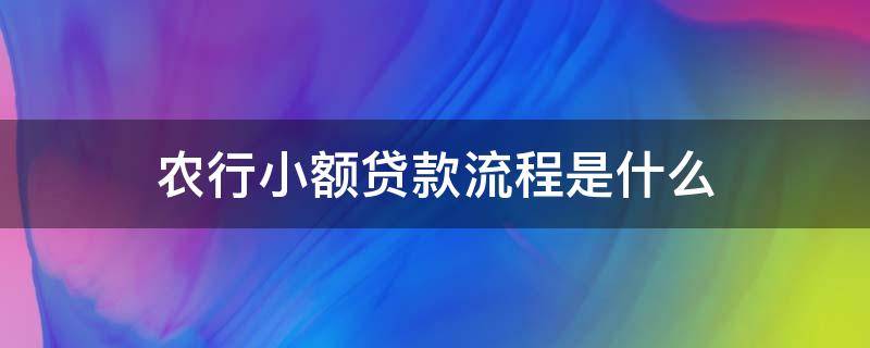 农行小额贷款流程是什么（农行小额贷款流程是什么样的）