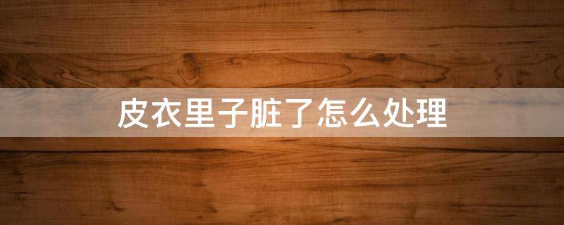 皮衣里子脏了怎么处理（皮衣里子脏了怎么处理干净）