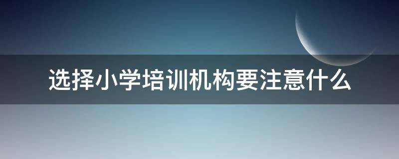 选择小学培训机构要注意什么（选择小学培训机构要注意什么事项）