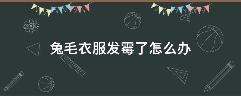 兔毛衣服发霉了怎么办（兔毛衣服有霉味怎么去除）