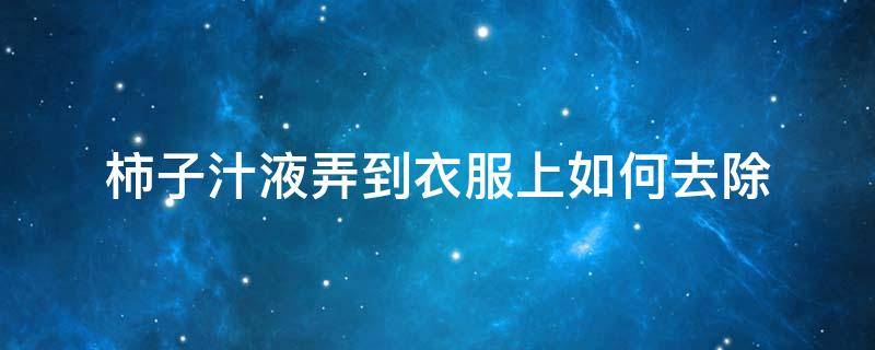 柿子汁液弄到衣服上如何去除（柿子汁液弄到衣服上如何去除味道）