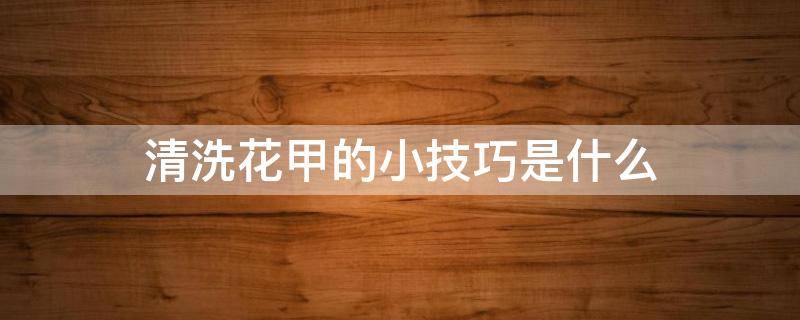 清洗花甲的小技巧是什么 清洗花甲的小技巧是什么意思