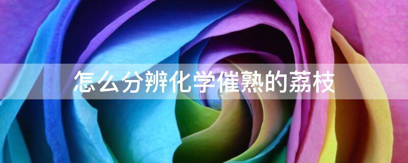 怎么分辨化学催熟的荔枝（荔枝崔熟打什么药）