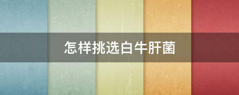 怎样挑选白牛肝菌 白牛肝菌口感