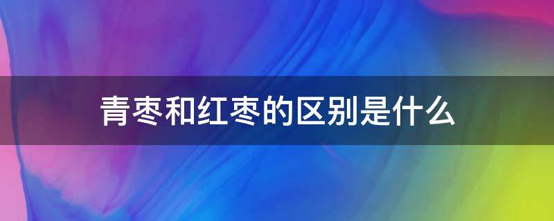 青枣和红枣的区别是什么（青枣和红枣的区别是什么图片）