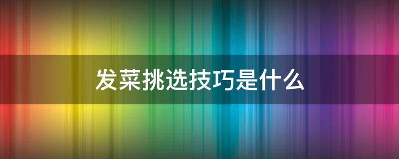 发菜挑选技巧是什么 发菜挑选技巧是什么