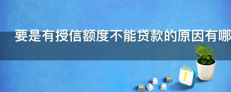 要是有授信额度不能贷款的原因有哪些
