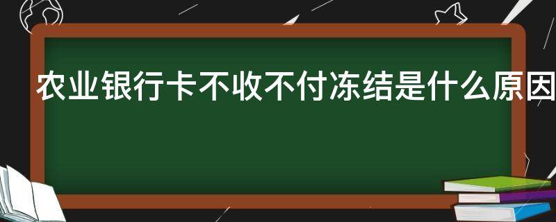 农业银行卡不收不付冻结是什么原因 不收不付冻结,卡状态正常户