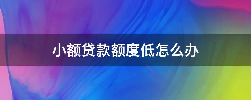 小额贷款额度低怎么办（小额信贷的额度）