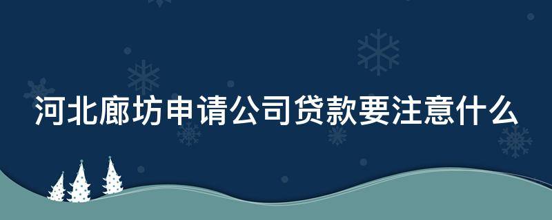 河北廊坊申请公司贷款要注意什么（廊坊专业办理信用贷款公司）