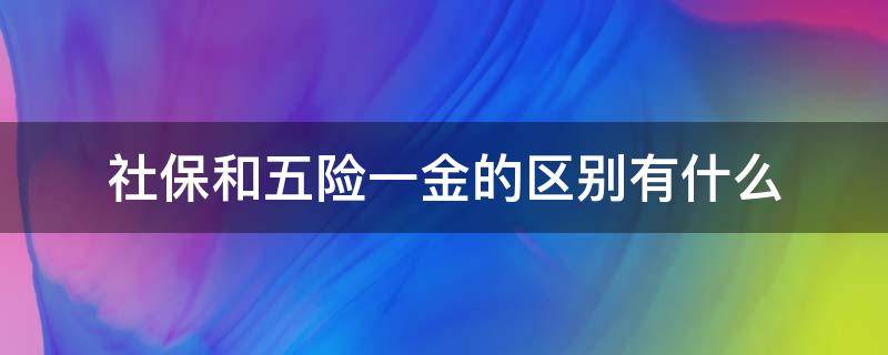 社保和五险一金的区别有什么（社保和五险一金的区别有什么不同）