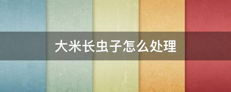 大米长虫子怎么处理（大米长虫子怎么办）