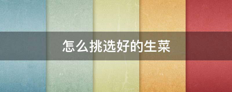 怎么挑选好的生菜 如何挑选生菜美食天下