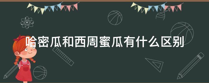 哈密瓜和西周蜜瓜有什么区别 哈密瓜和西周蜜瓜的区别