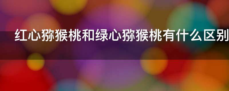 红心猕猴桃和绿心猕猴桃有什么区别 红心猕猴桃和绿心猕猴桃的区别在哪里