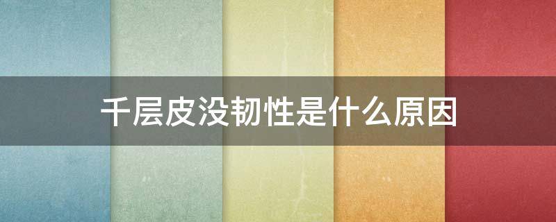 千层皮没韧性是什么原因（千层皮没韧性是什么原因引起的）