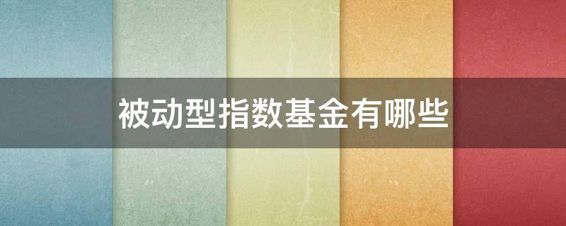 被动型指数基金有哪些（被动型指数基金有哪些）
