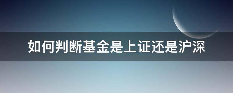 如何判断基金是上证还是沪深（怎么判断基金是上证还是沪深）