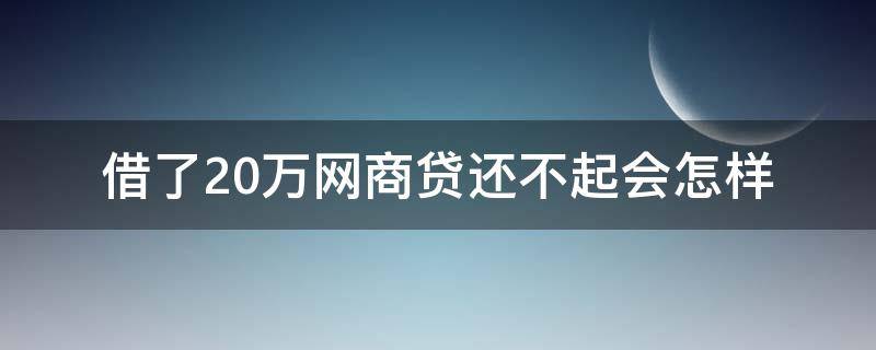 借了20万网商贷还不起会怎样（网商贷欠款20万暂时还不上逾期了要怎么应对）