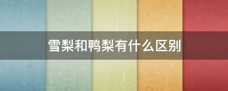 雪梨和鸭梨有什么区别 鸭梨和雪梨哪个对咳嗽好