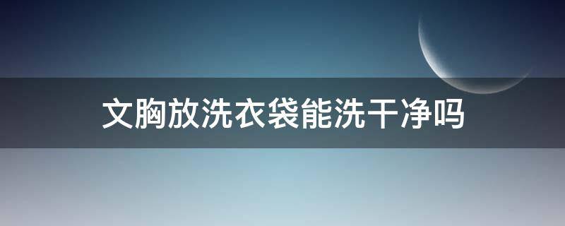 文胸放洗衣袋能洗干净吗 文胸放洗衣袋能机洗吗