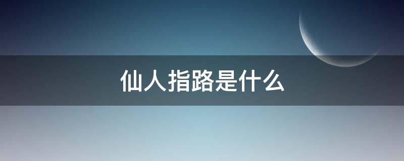 仙人指路是什么（仙人指路是什么意思男女）
