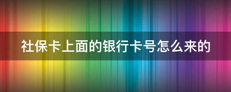 社保卡上面的银行卡号怎么来的（我的社保卡查询个人账户）