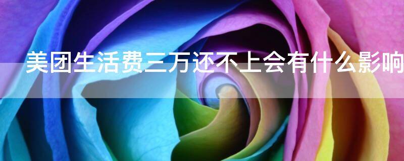 美团生活费三万还不上会有什么影响（美团生活费300没还）