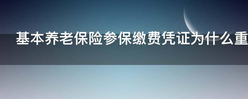 基本养老保险参保缴费凭证为什么重要