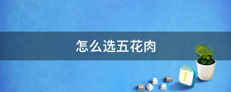 怎么选五花肉 红烧肉怎么选五花肉