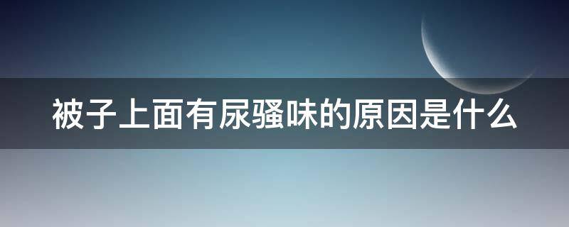 被子上面有尿骚味的原因是什么（被子上有尿骚味怎么回事）