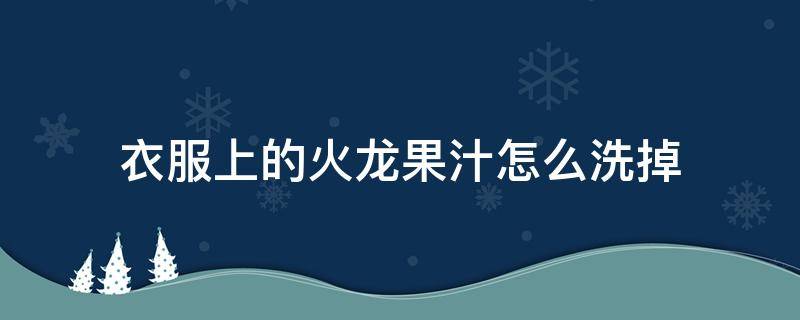 衣服上的火龙果汁怎么洗掉 衣服上的火龙果汁怎么去除