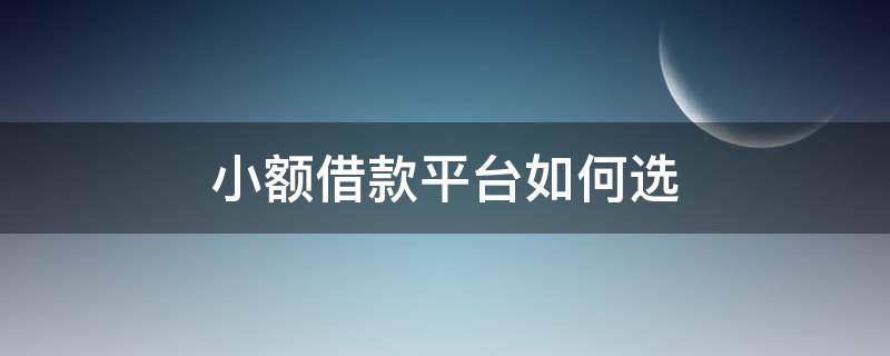 小额借款平台如何选（小额借款平台如何选择借款人）
