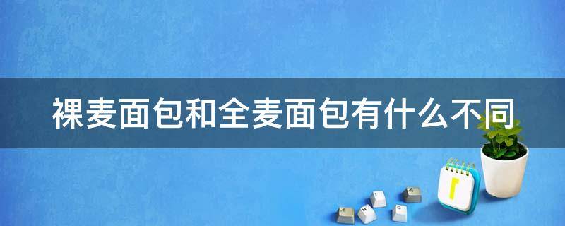 裸麦面包和全麦面包有什么不同 裸麦面包和全麦面包有什么不同吗